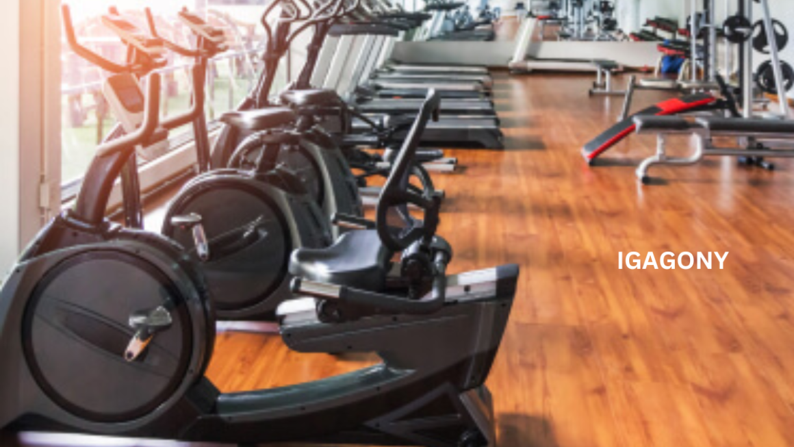 Sedbergh Gym Prices: Everything You Need to Know