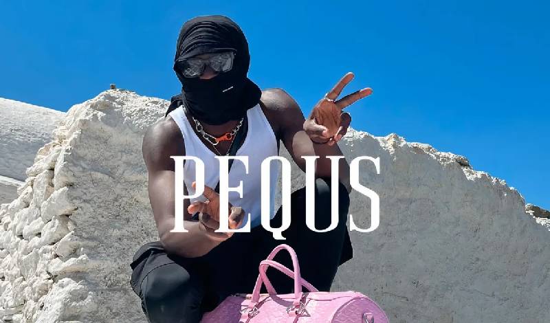 Where to Buy Pequs Clothing